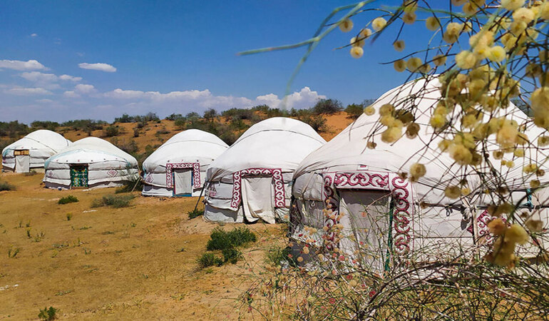 Fine Safari Tour 2 Days